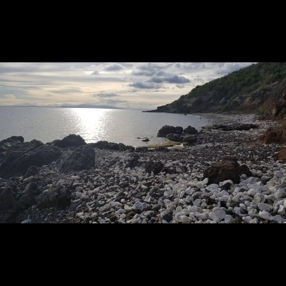 Meet your Posher, Wandaliz - Picture 1 of 1